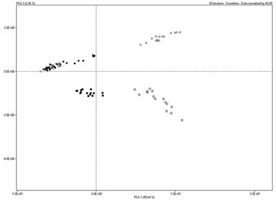 Hazelnut as Ingredient in Dairy Sheep Diet: Effect on Sensory and Volatile Profile of Cheese